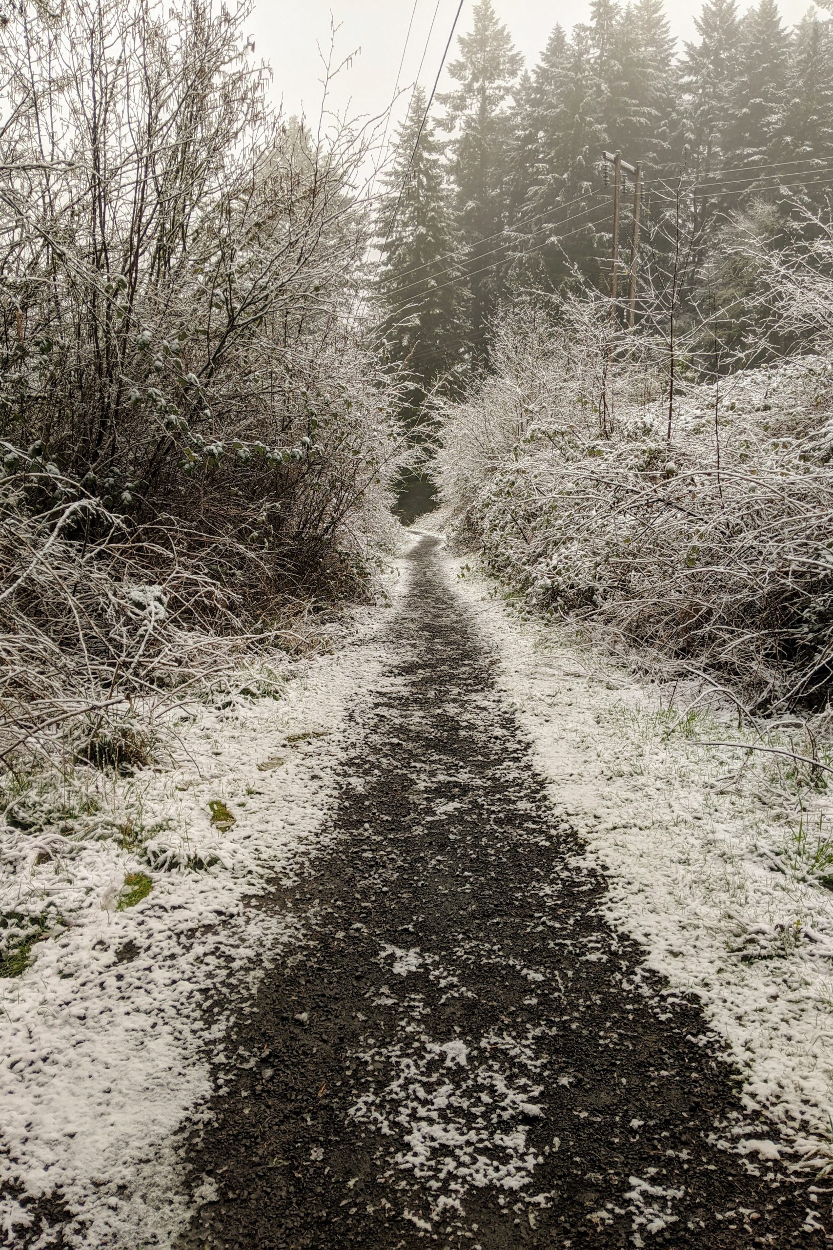 mtwilliamssnowtrail mtwilliamssnowtrail